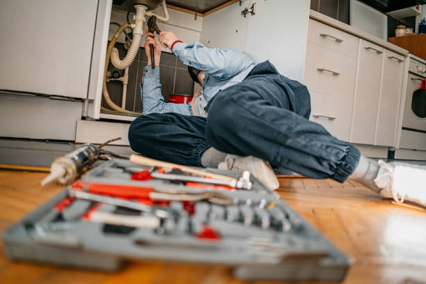 Best Plumbing Repair Near Me  in Hernando, FL